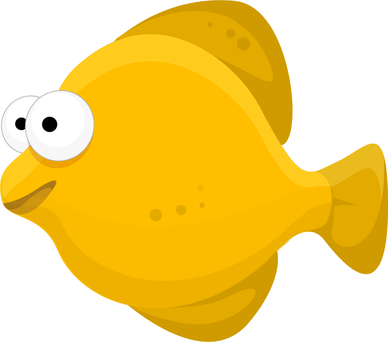 fish
