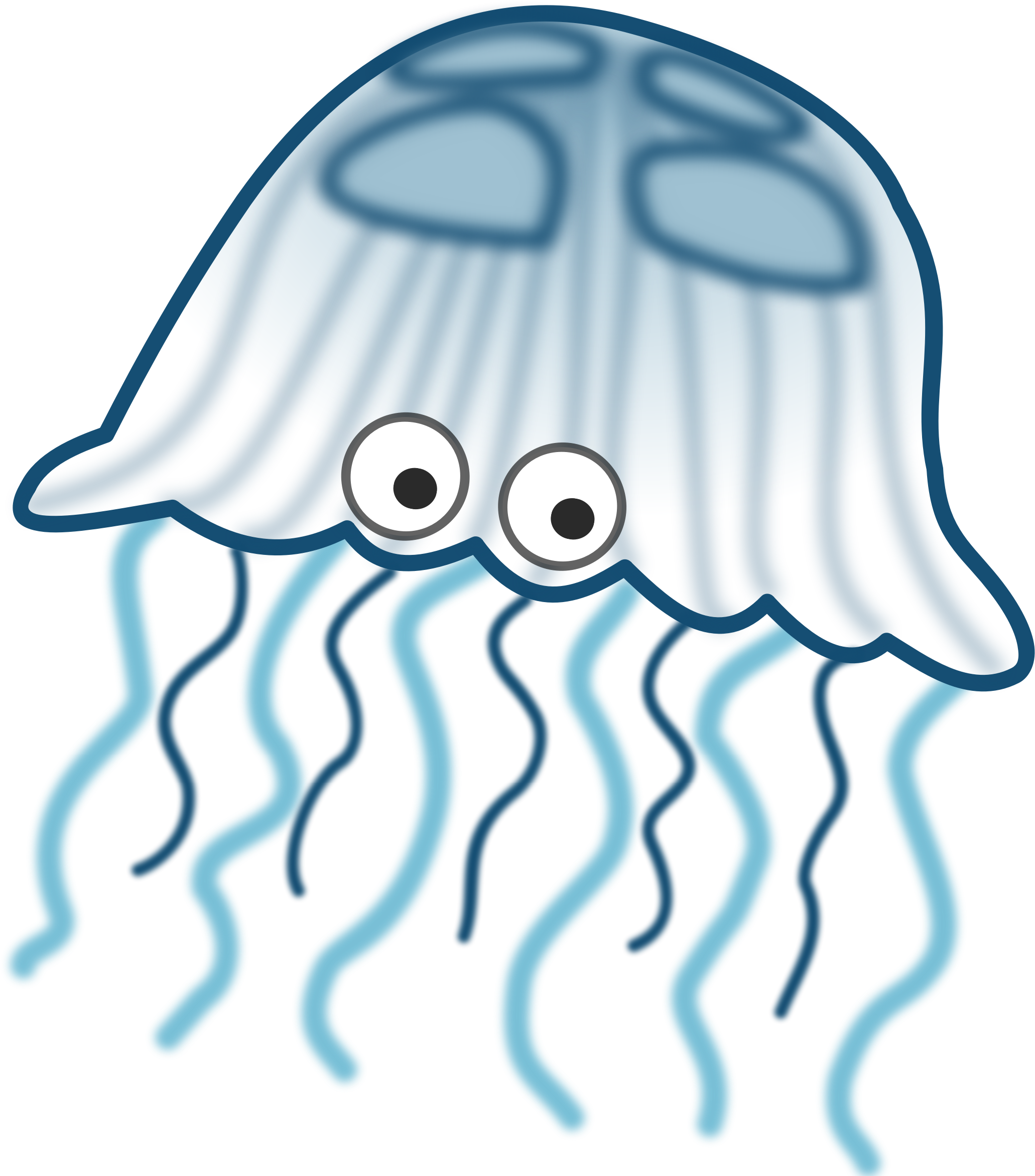 jellyfish