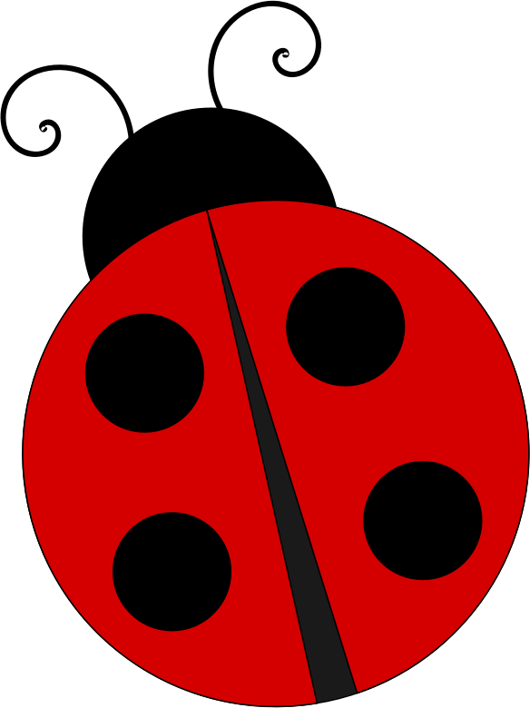 ladybug